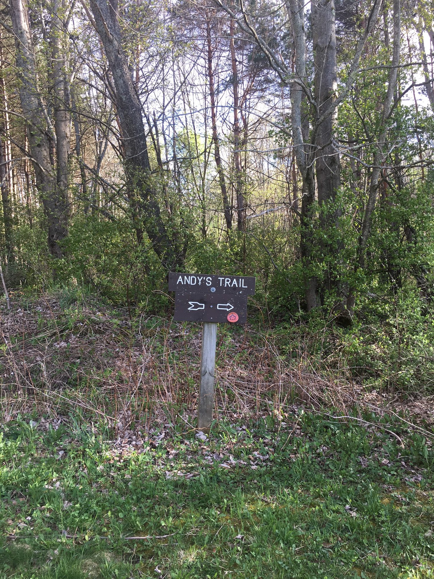 Trail sign for Andy's Trail