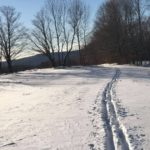 Cross country ski tracks
