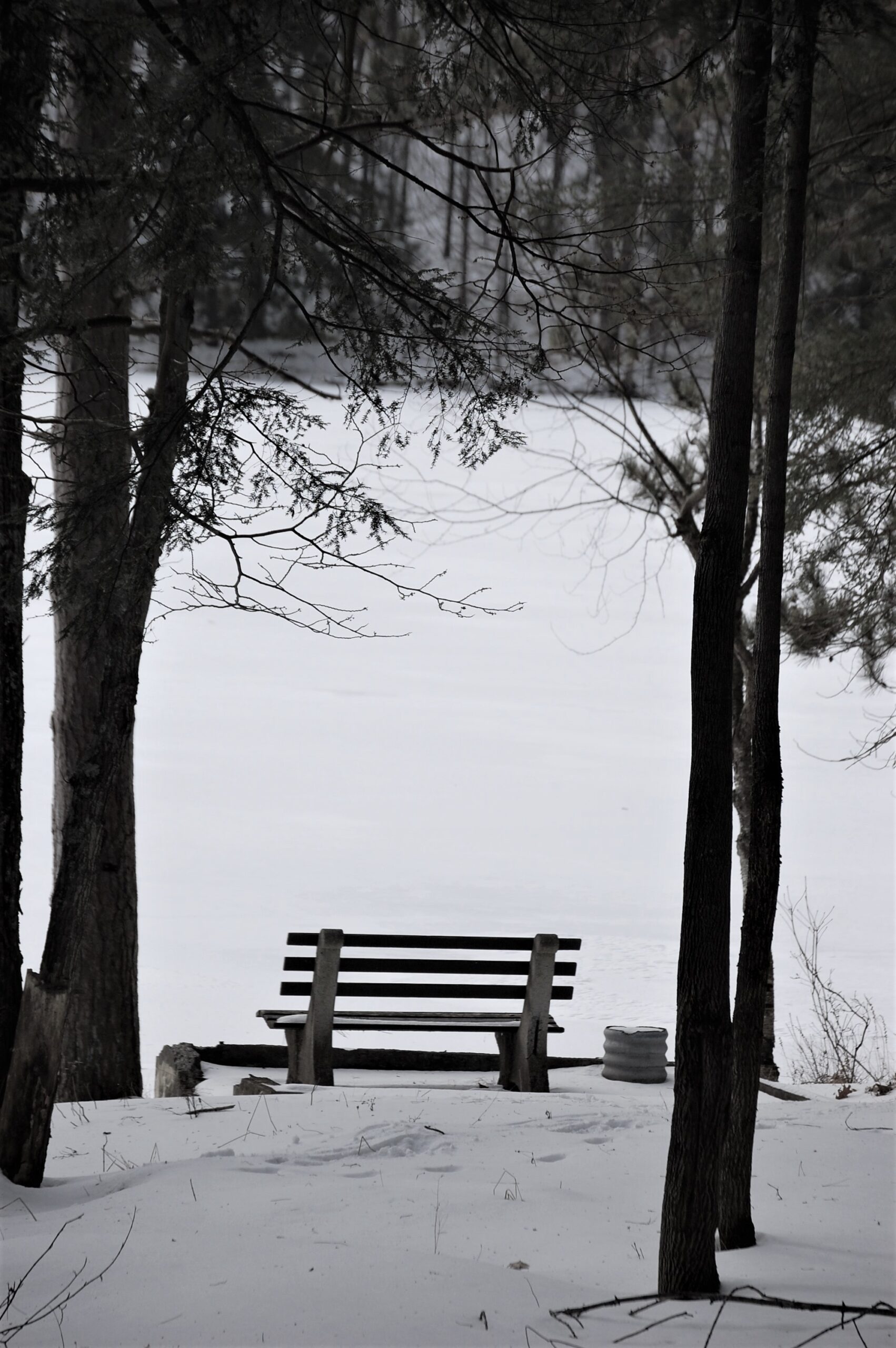bench overlooking a snowy Gilbert Lake