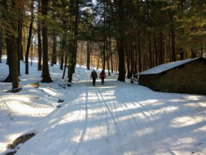 Gilbert Lake Trail in winter