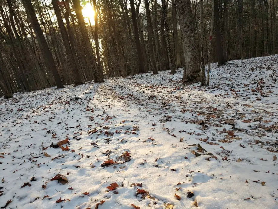 Glimmerglass sleeping lion trail in winter