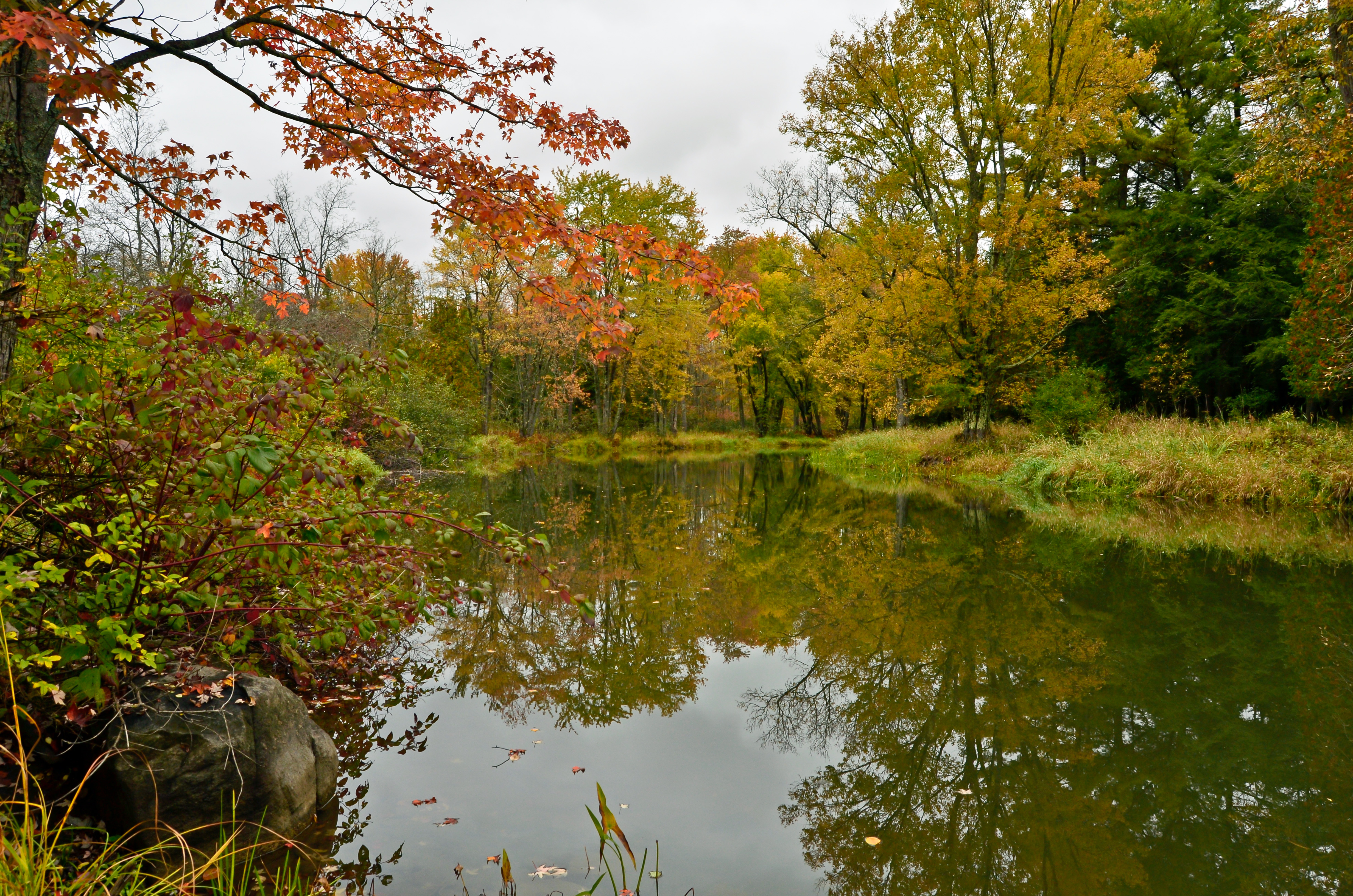 Parslow Road Conservation Area