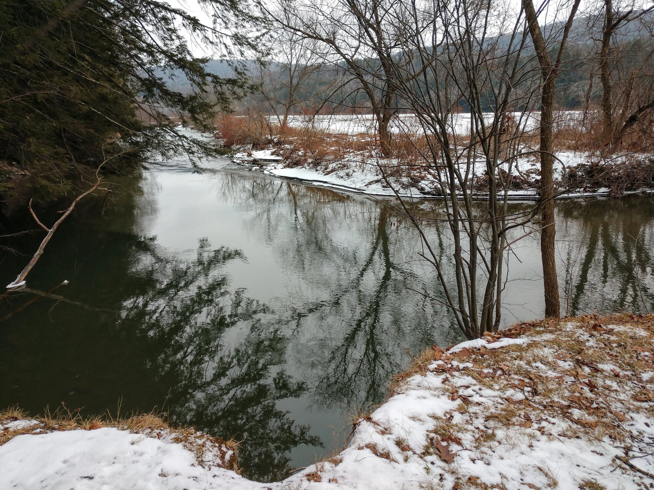 view of creek at Riddell