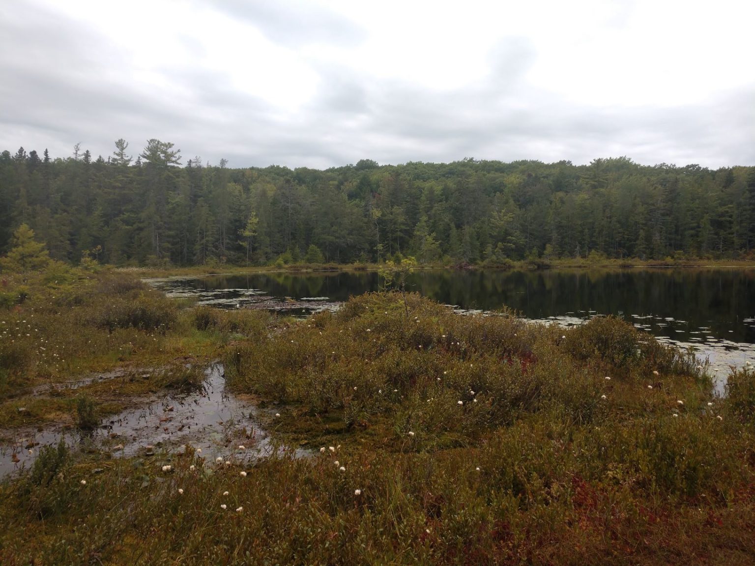 Robert V. Riddell State Park - Otsego Outdoors