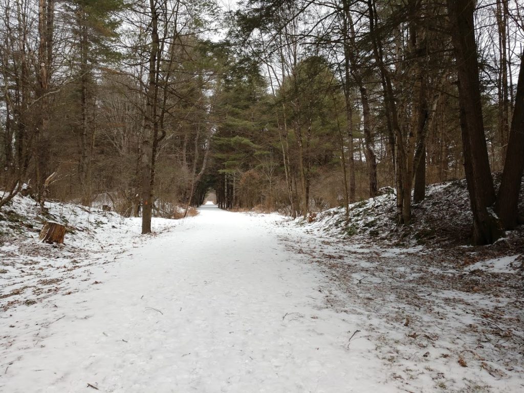 Winter trail at Riddell State Park