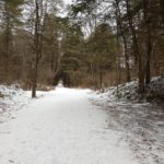 Winter trail at Riddell State Park