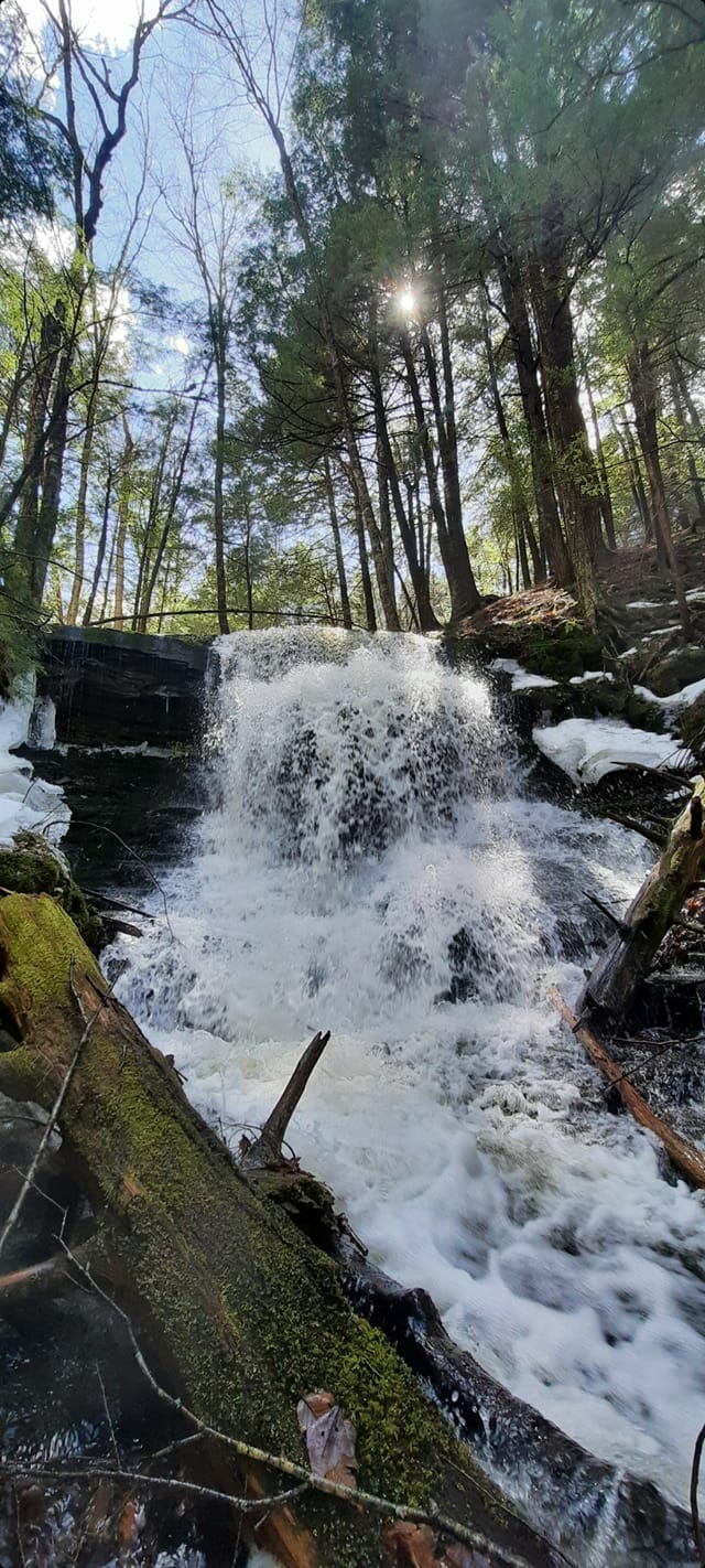 waterfall along the Mud Lake trail