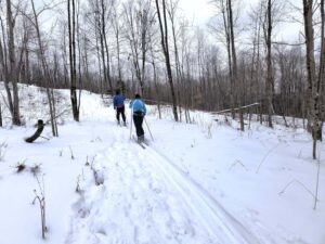 two cross country skiiers