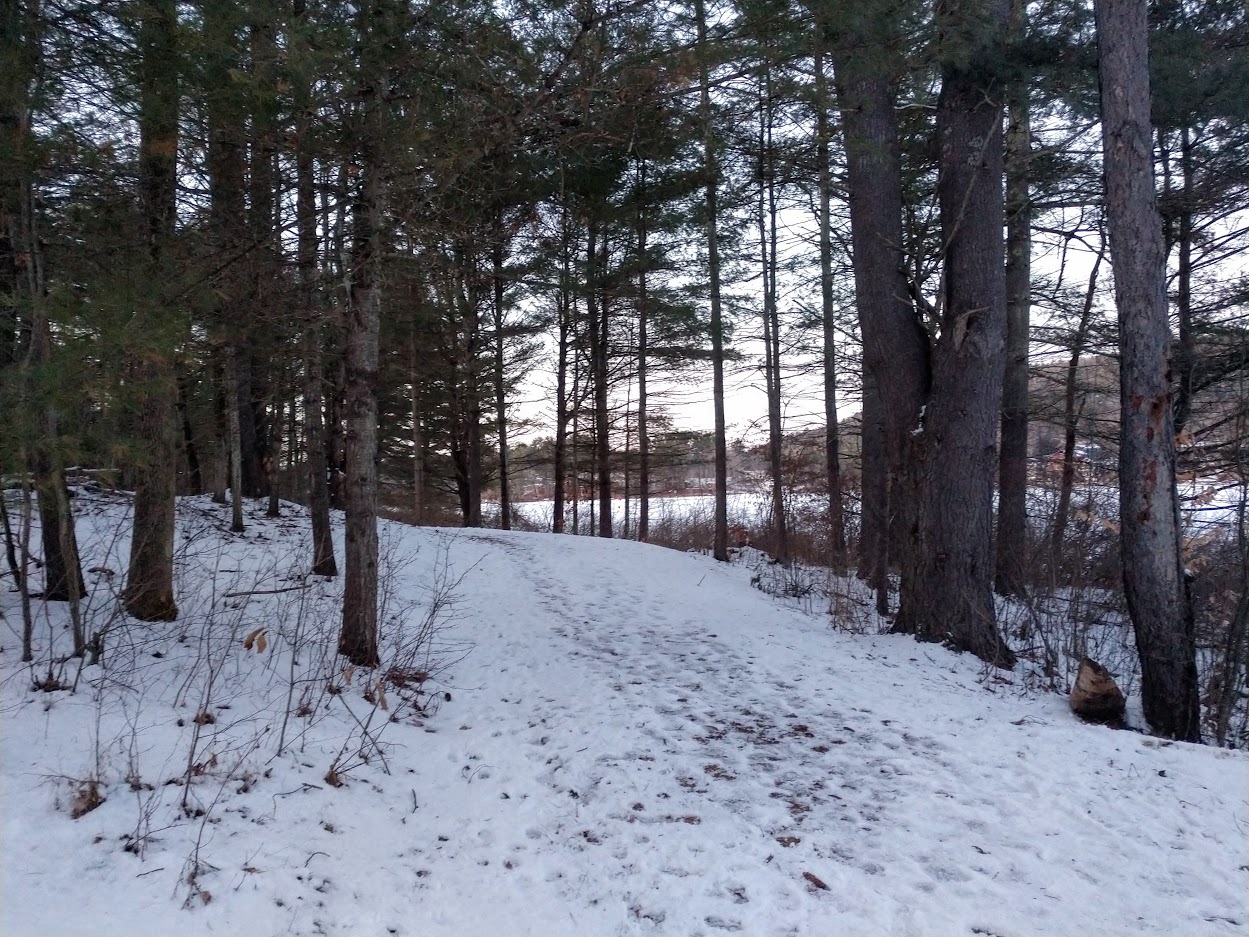 path at Goodyear Lake Waterway Access