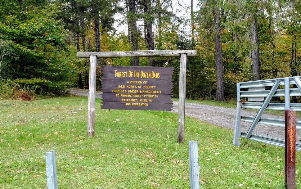 Forest of a Dozen Dads sign