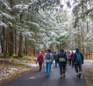 Hikers on a winter walk