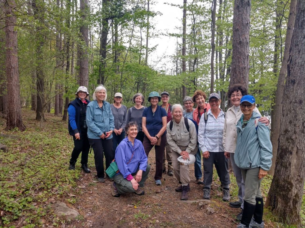 Jean Miller Memorial Wildflower Walk - Otsego Outdoors