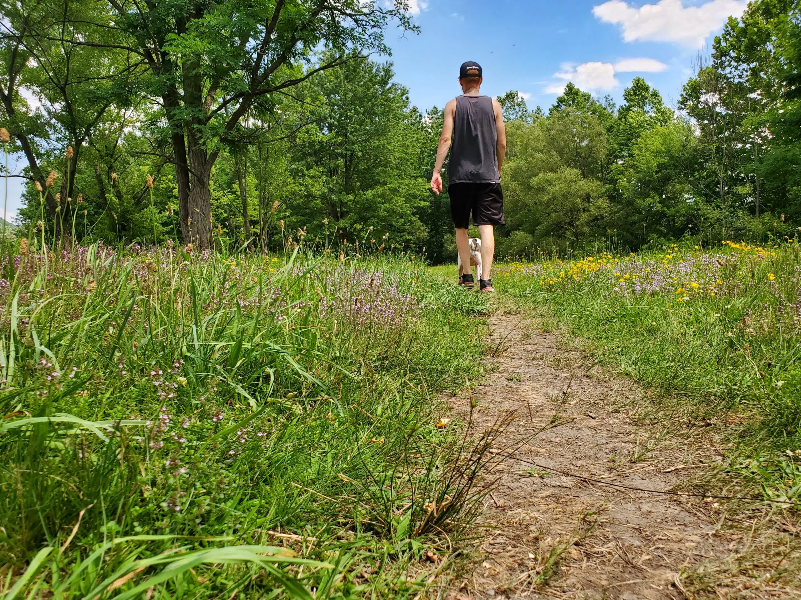 A man and dog walking on a hiking trail in summer