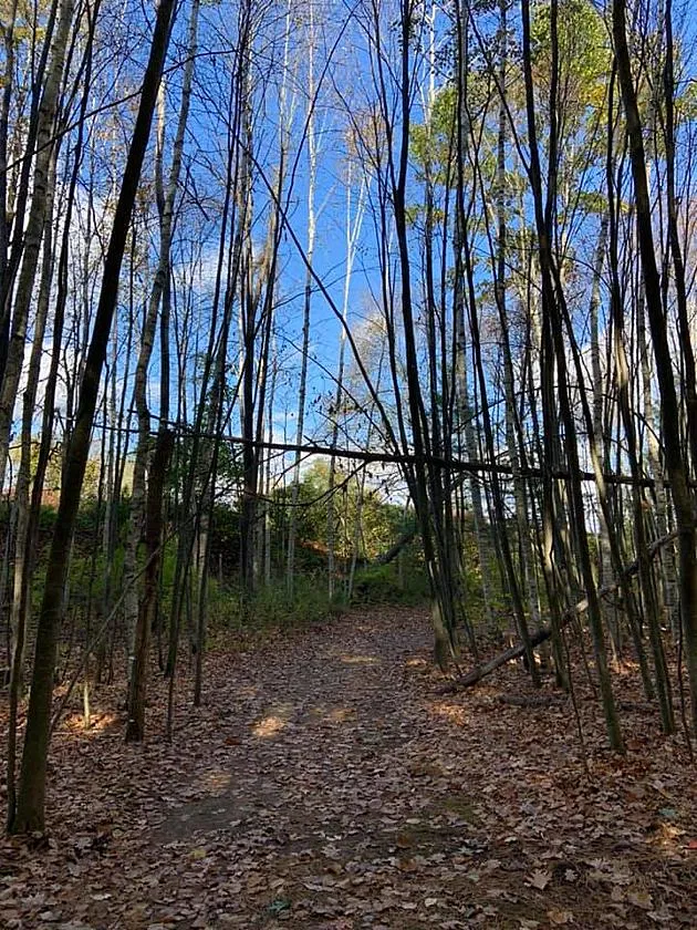 trail at Silas Lane
