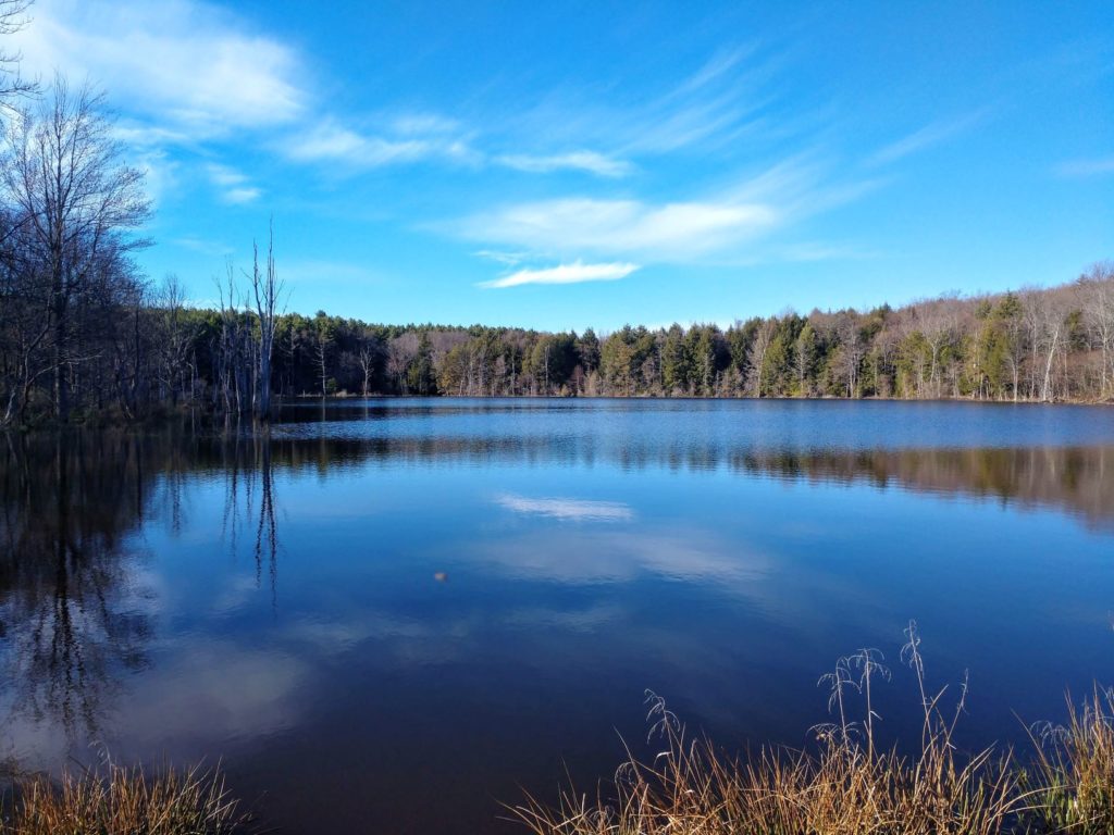 pond at Hick State Forest