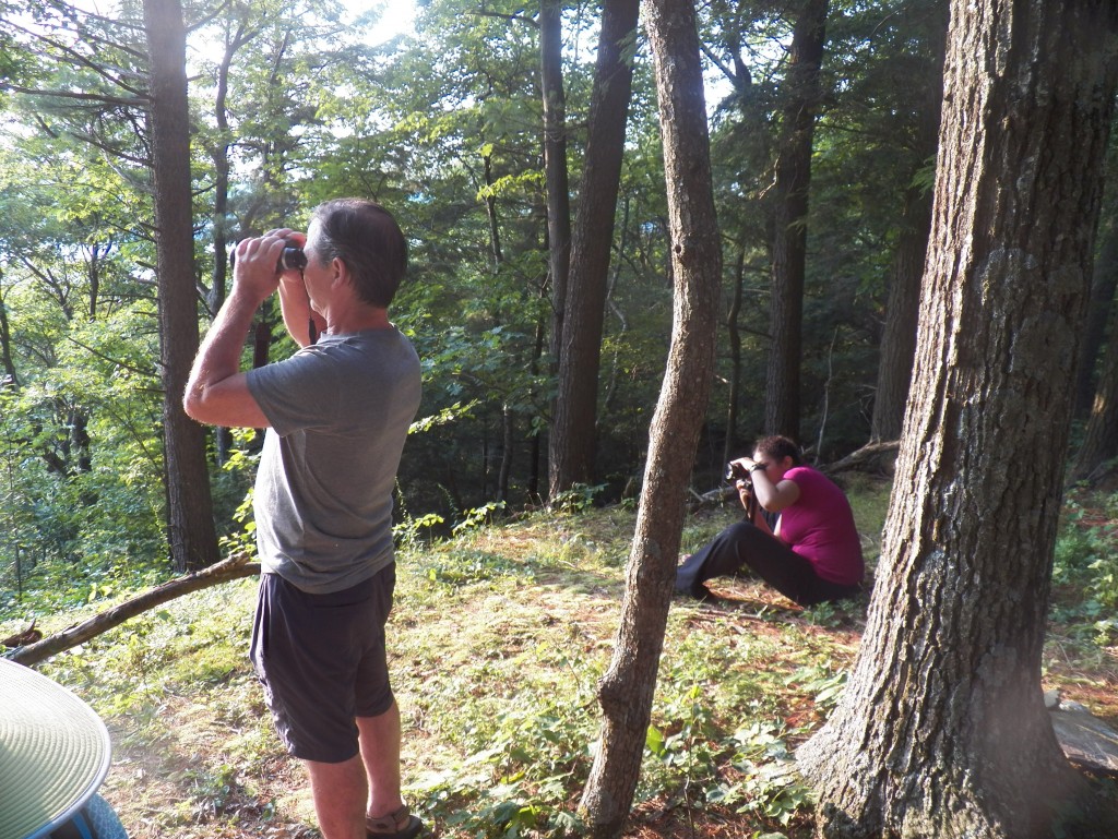 People use binoculars to look for birds in the woods