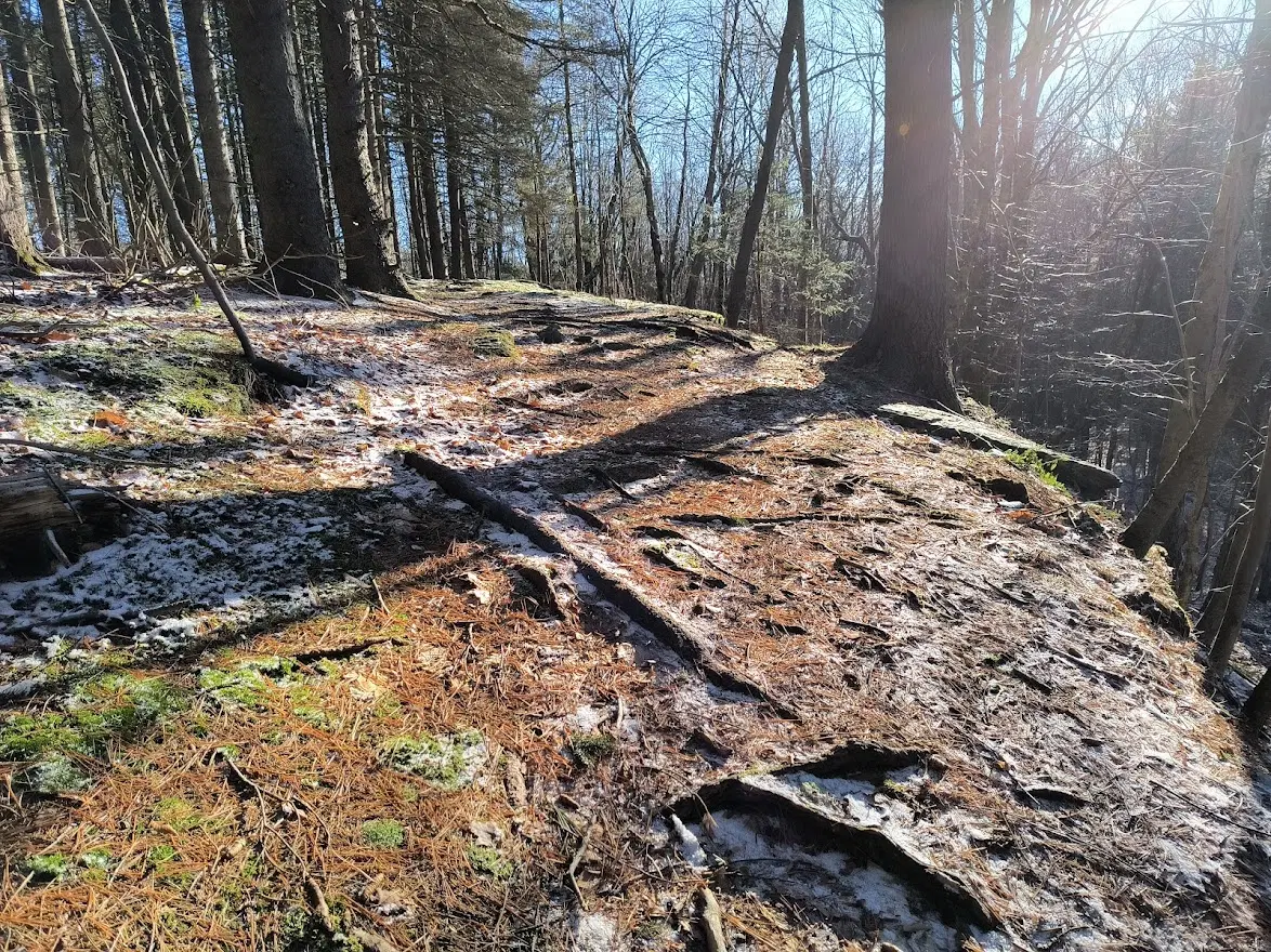 yellow trail at DOAS