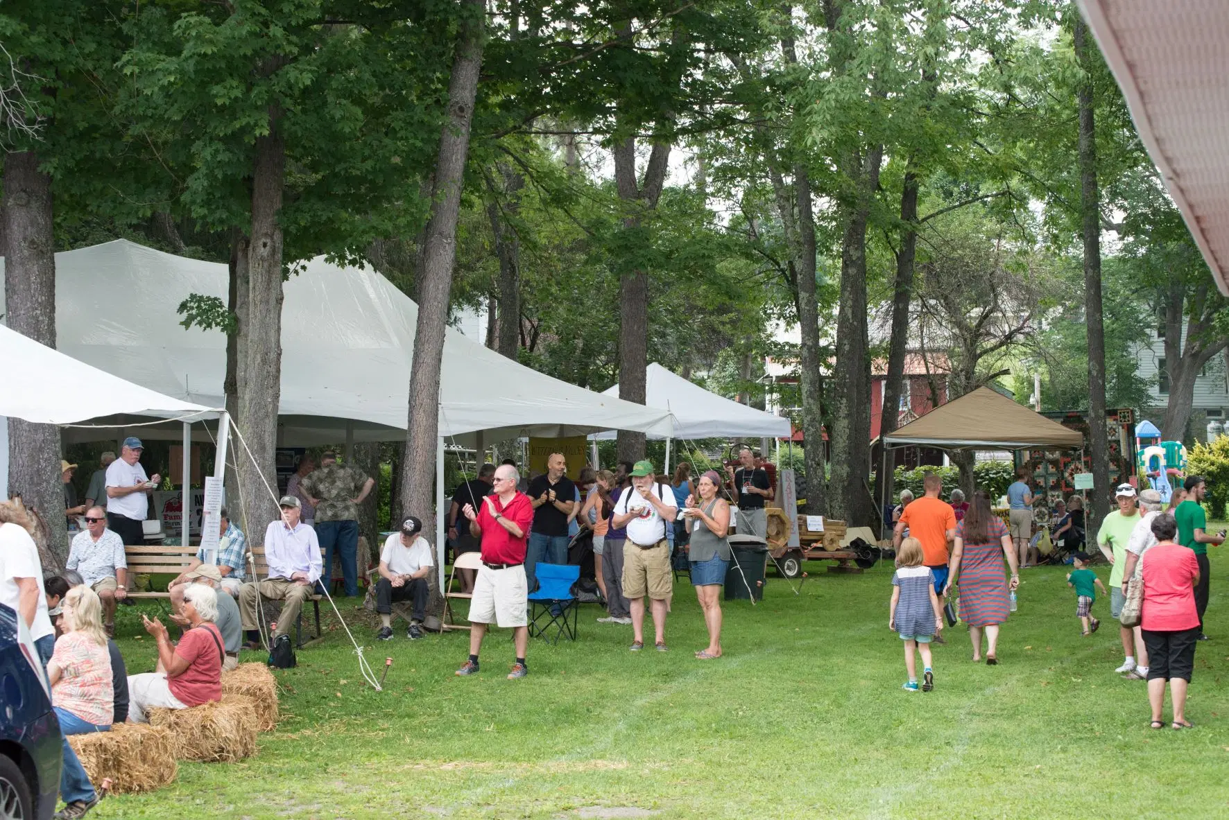 BVA summer harvest festival