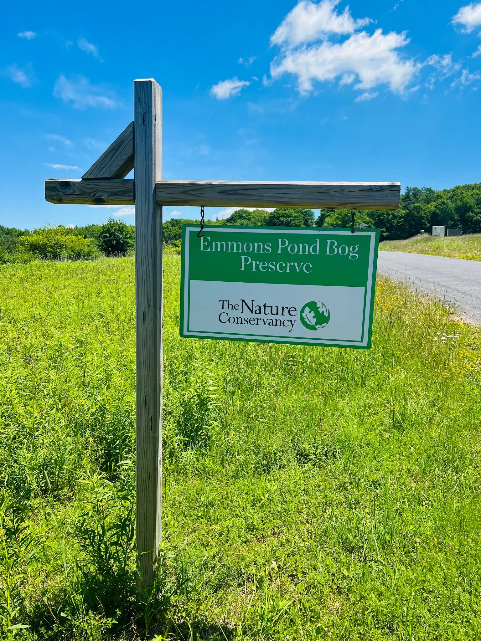 Emmons Pond Bog sign with green grass in background
