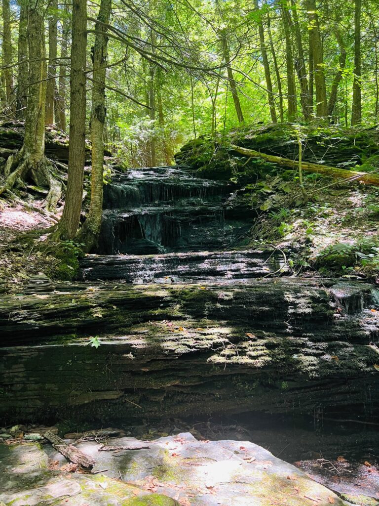 tiered waterfall at Emmons Pond Bog