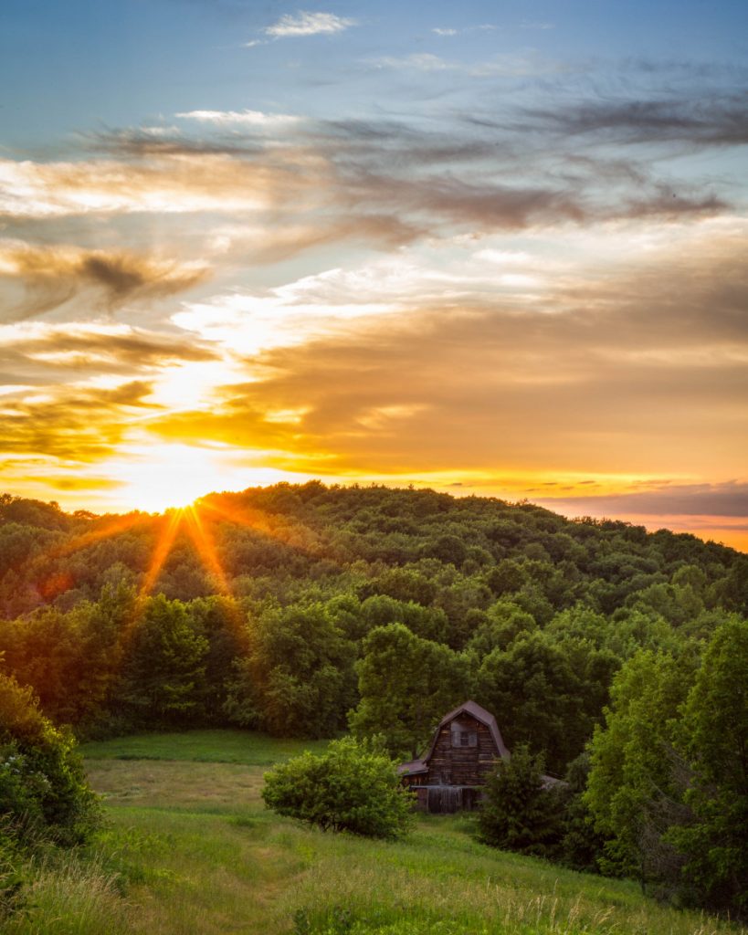 View of the DOAS Sanctuary photo by Mathew Bechtold, Bechtold Photography