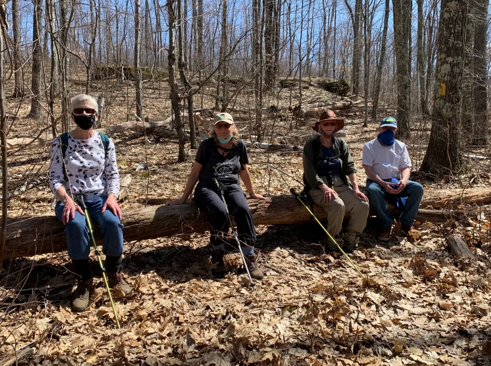 Hikers taking a break on a log in the woods