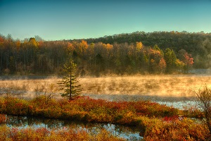 Hunt's Pond from DEC website