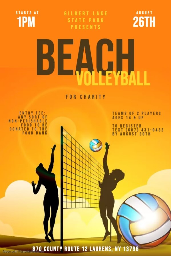 Beach Volleyball Tournament - Otsego Outdoors