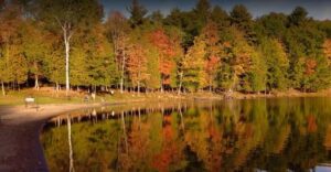 Trees reflected in Gilbert Lake