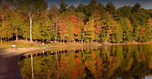 Trees reflected in Gilbert Lake