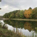 Wilber Lake in fall with bridge in distance