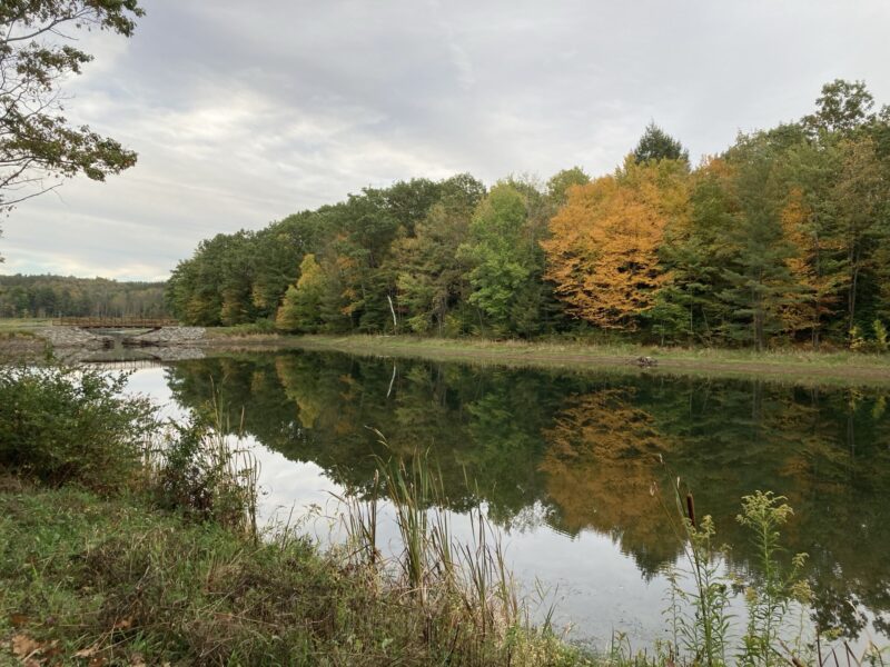 Wilber Lake in fall with bridge in distance