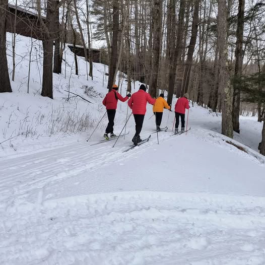 Four cross country skiers at Gilbert Lake State Park