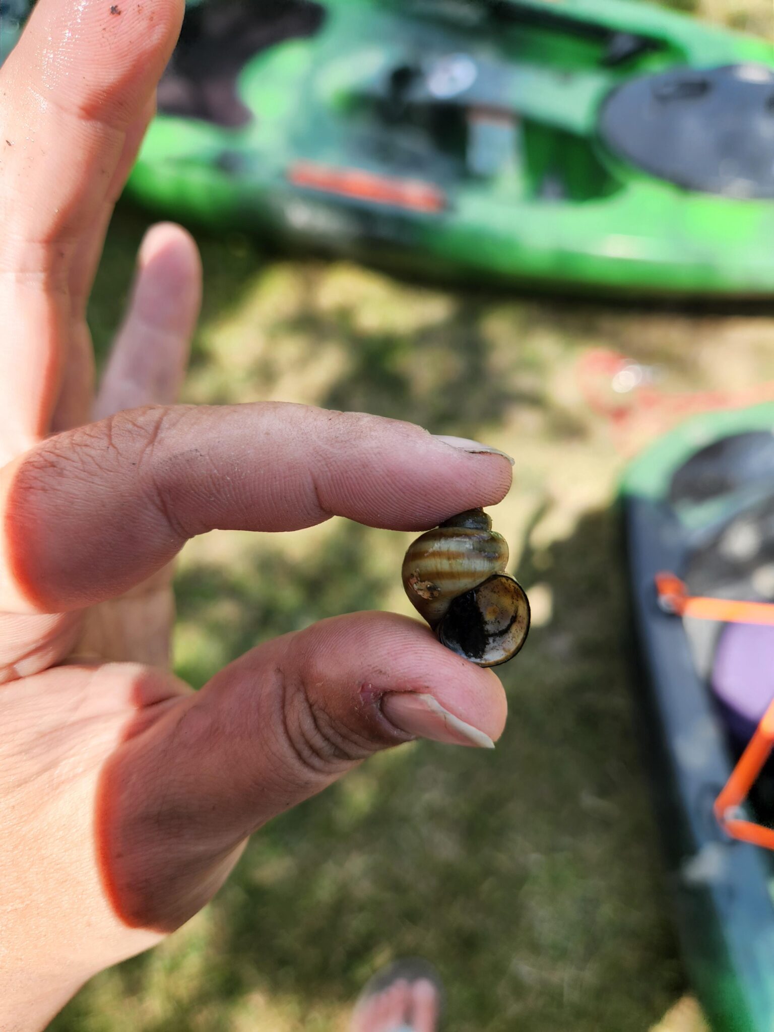 Aquatic Invasive Species Training Otsego Outdoors