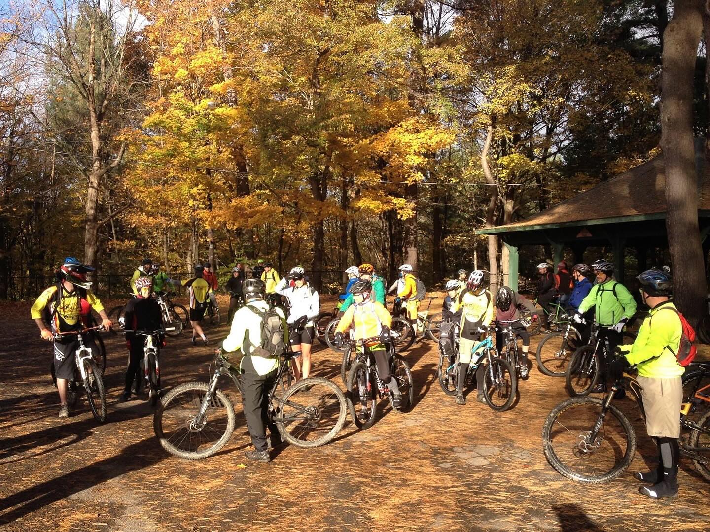 mountain bikers at wilber park