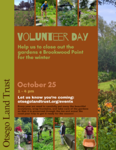 Brookwood Point volunteer day poster