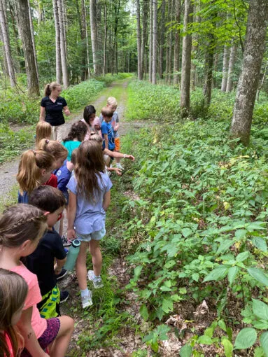 A group of children walking on a trail during summer camp