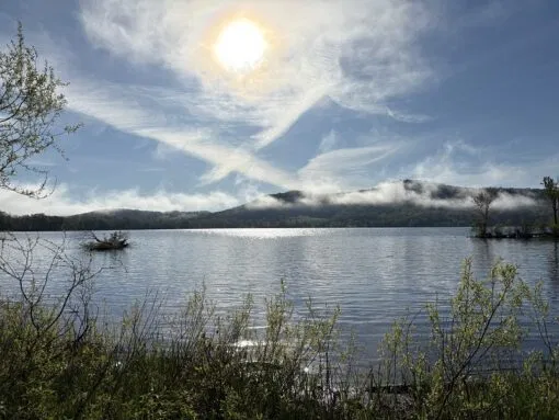 A view of Otsego Lake from Goodyear Swamp