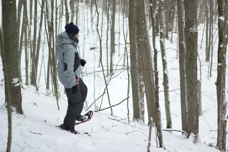 snowshoeing in the woods
