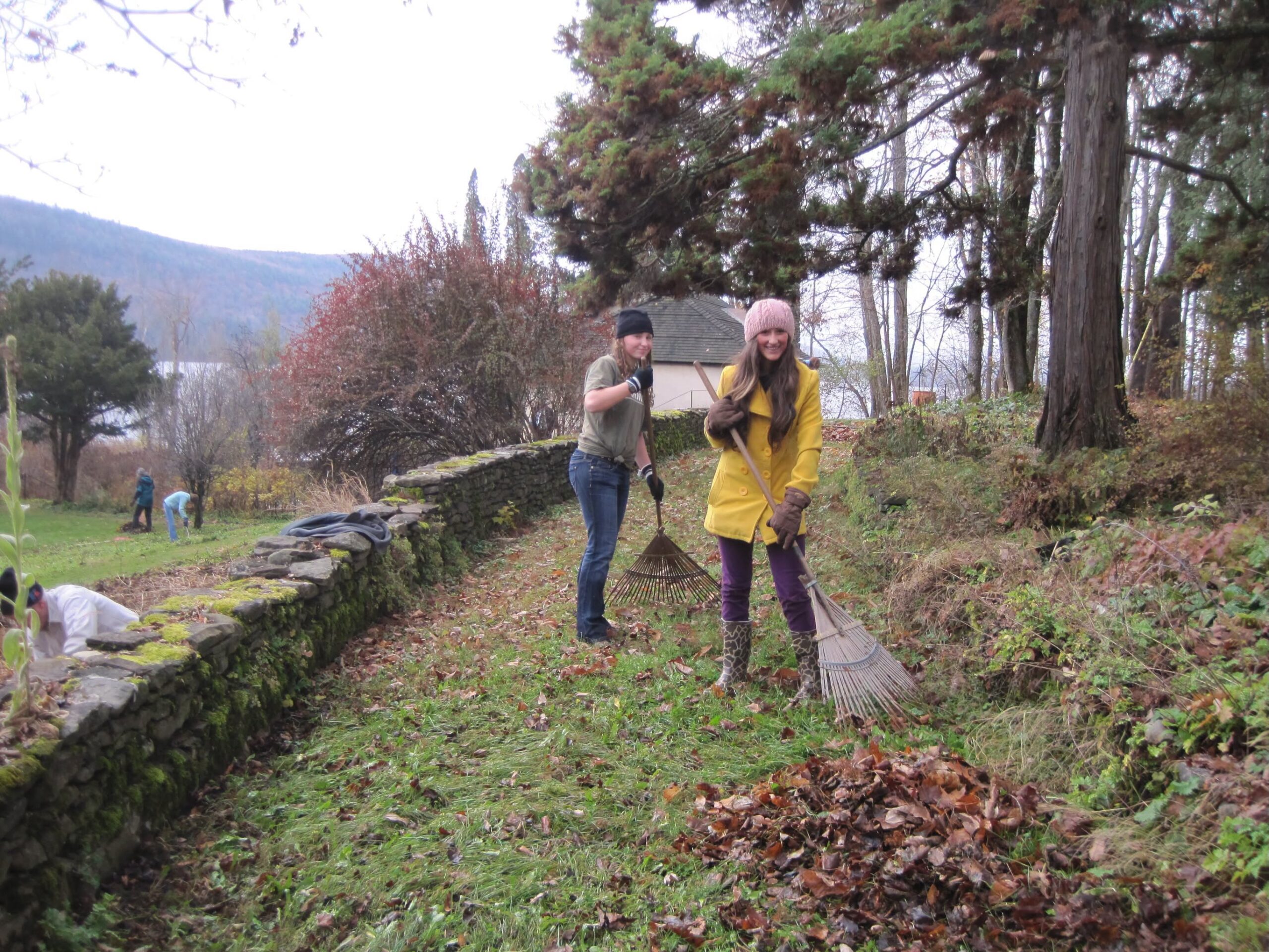 two people raking leaves